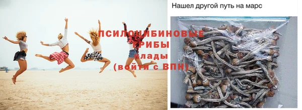 гидропоника Алзамай