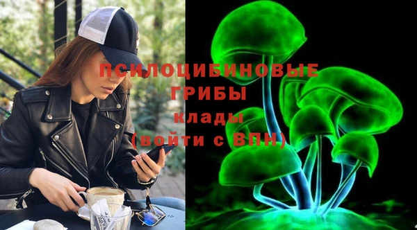 соль ск Алексеевка