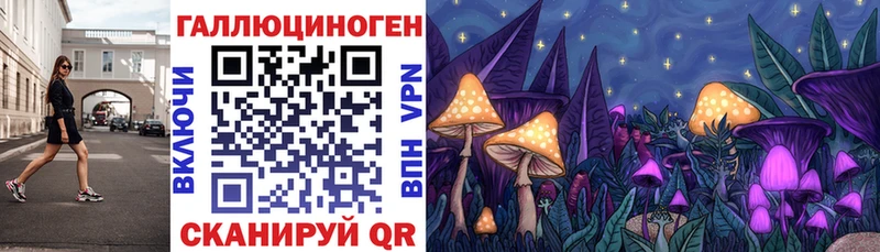 цена наркотик Сургут гидра ссылка Псилоцибиновые грибы MAGIC MUSHROOMS