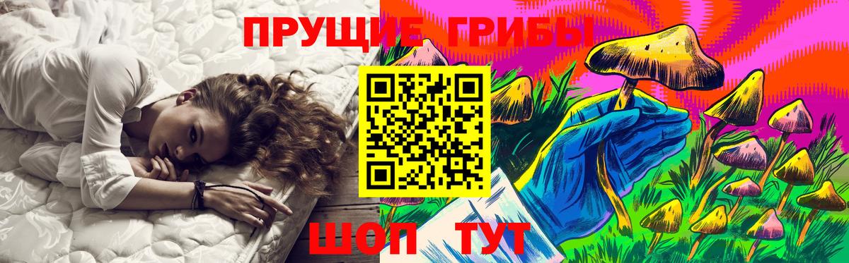 даркнет сайт  Галлюциногенные грибы GOLDEN TEACHER  Вход с VPN  Сургут 
